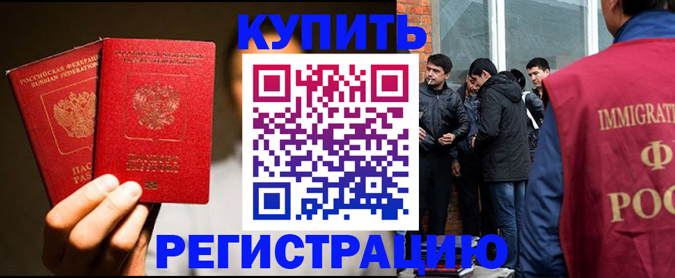 найти адрес прописки в Полярных Зорях